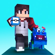 Activities of Pixelmon craft: build block