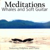 Meditations Whales Soft Guitar