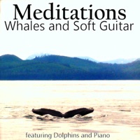 Meditations Whales Soft Guitar PC 용