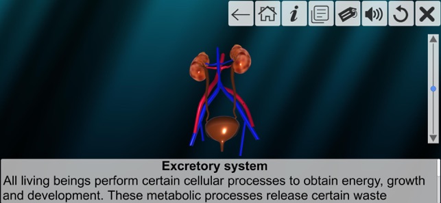 AR Incredible human body(圖6)-速報App