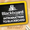Intro Course In Blackboard