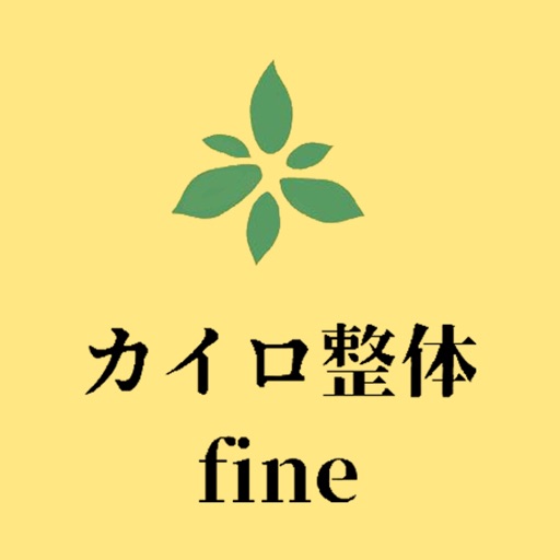 整体カイロ fine
