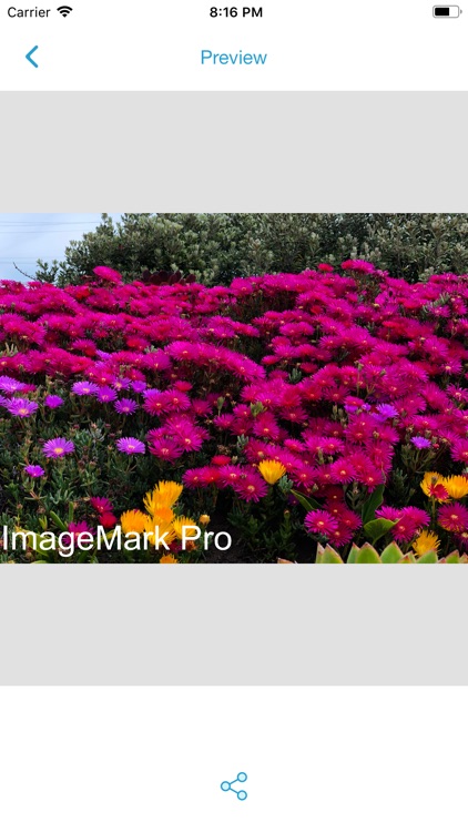 Image Mark Pro 4.0 screenshot-3