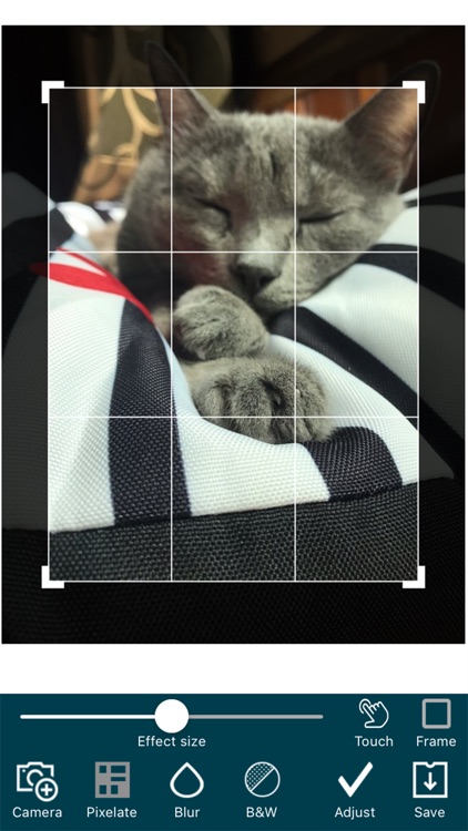 Mosaic&Blur