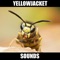 Yellowjacket Sounds and Effects provides you yellowjacket sounds and yellowjacket sound effects at your fingertips