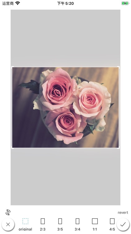 Anniversary greeting card