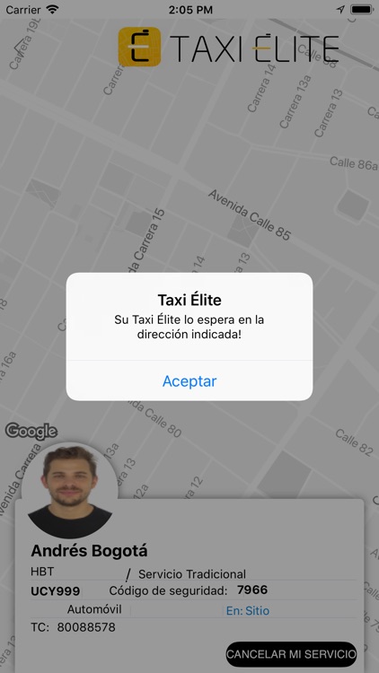 Taxi Elite screenshot-4