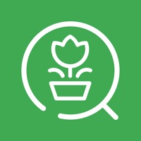 Plantrecognition pour PC