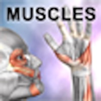 Learn Muscles: Anatomy PC 용
