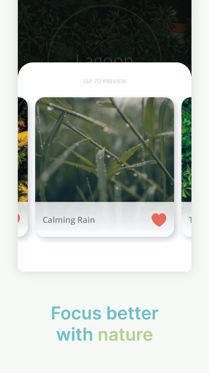 Mt. Focus: Timer & Pomodoro screenshot-4