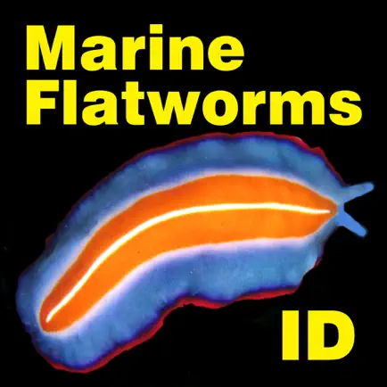 Marine Flatworms ID Cheats