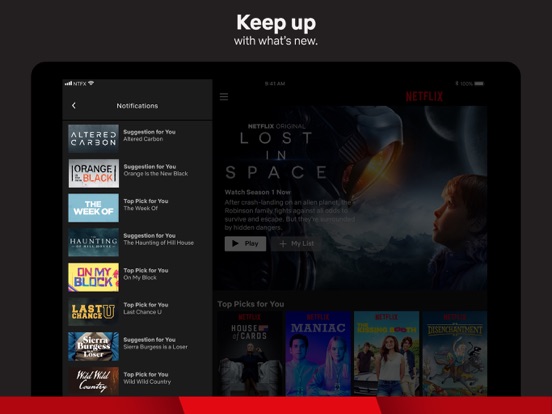 iPad Image of Netflix
