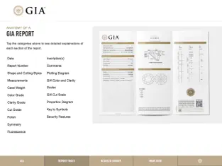 Screenshot 4 GIA 4Cs for Mobile iphone