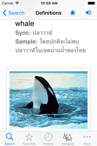 Thai Fast Dictionary screenshot 3