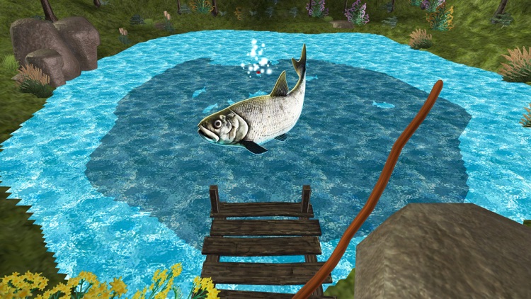 Fishing Sim - Keep or Release screenshot-3