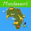 Montessori Animals of Africa