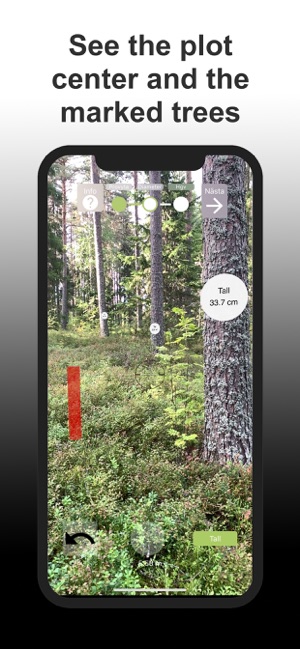 Arboreal Forest(圖2)-速報App