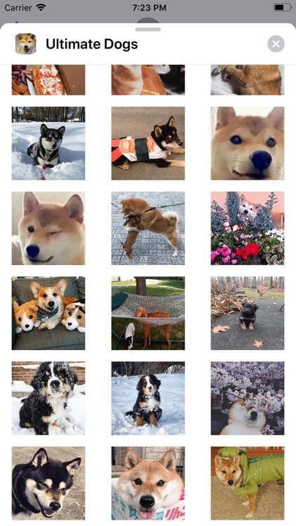 Ultimate Dogs Sticker Pack screenshot-8