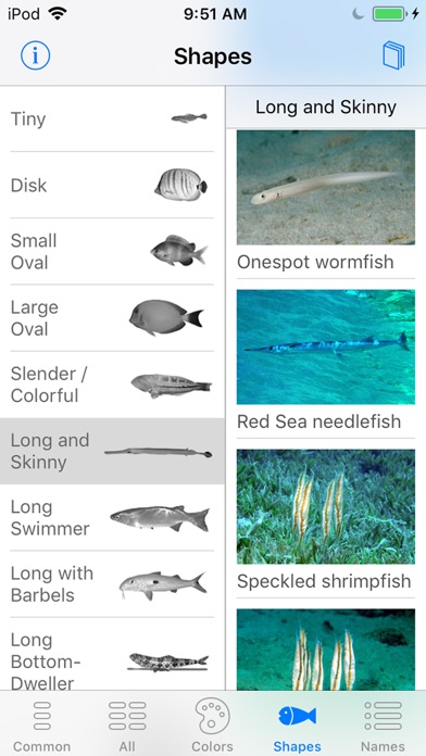 Red Sea Fish ID screenshot 3