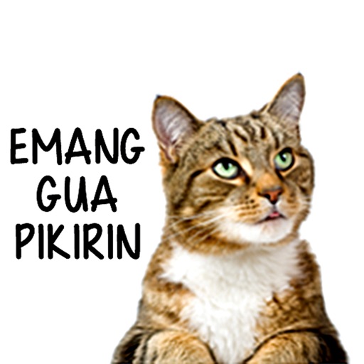 Stiker Kucing Lucu Moji