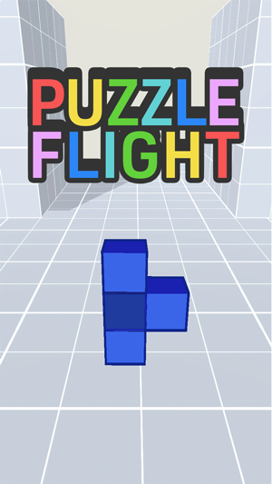 PUZZLE FLIGHT