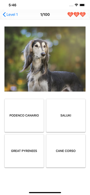 Dog Breeds Quiz - Dog Games(圖3)-速報App