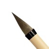 Icon Ink Brush Pro