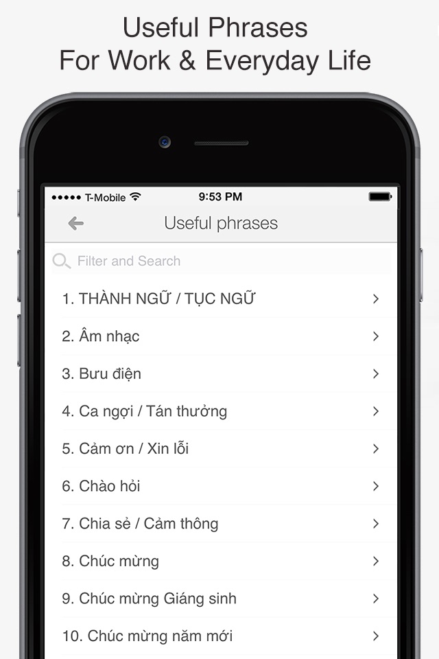 Từ điển Anh - Việt, Việt - Anh screenshot 4