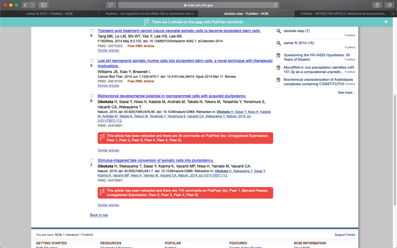 PubPeer screenshot 4