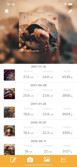 Imágen 2 Tortoise - Keep Recording iphone