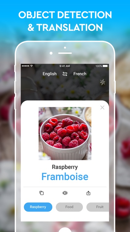 Camera Translator: Translate+