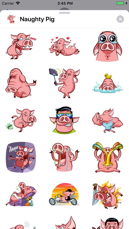 Naughty Pig Sticker Pack screenshot-0