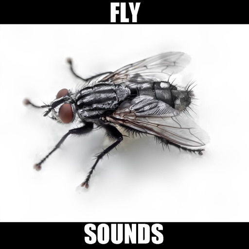 Fly Sounds! icon
