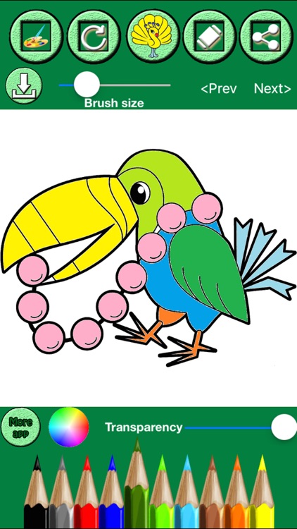 Animals & Birds Coloring book