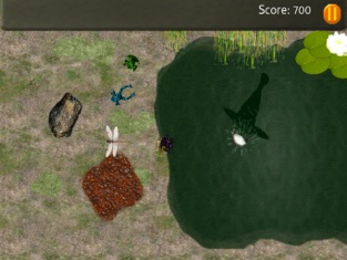 Baby Frogs - Frog Wrangling, game for IOS