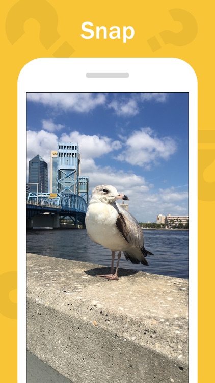 Wuzzat - Snap, Post, Identify