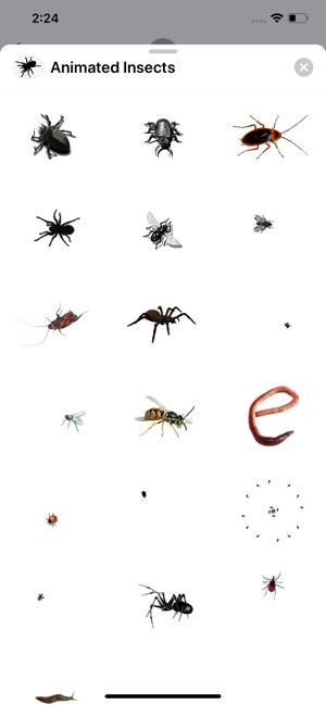 Animated Insects Sticker App(圖3)-速報App