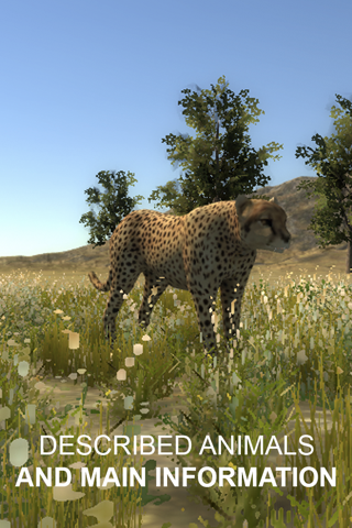 Explain 3D: African animals screenshot 2