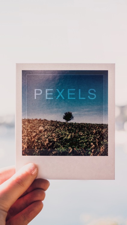 Pexels