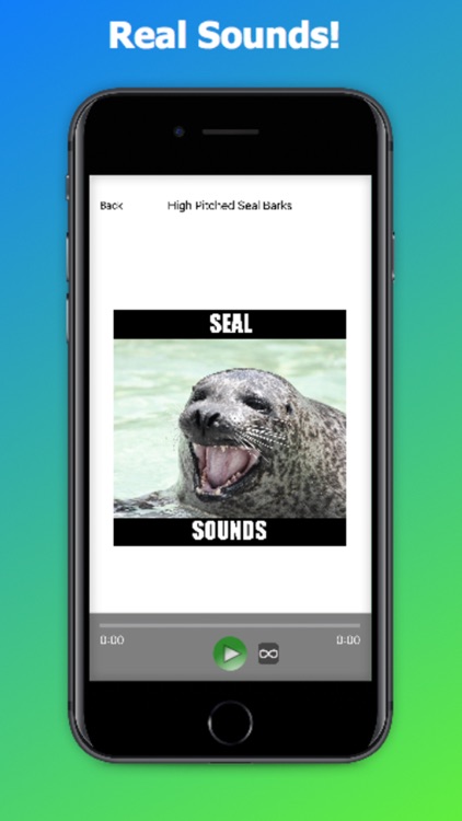 Seal Sounds & Seal Barking