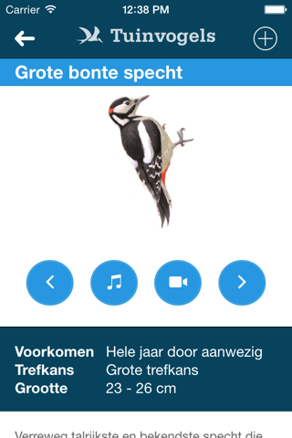 Tuinvogels screenshot 4