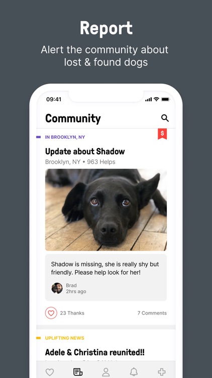 Shadow - Find a Lost Dog screenshot-0