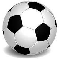 Realistic Soccer Sounds pour PC