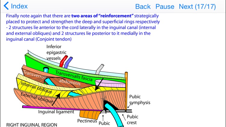 Anatomy Topics in Focus screenshot-4