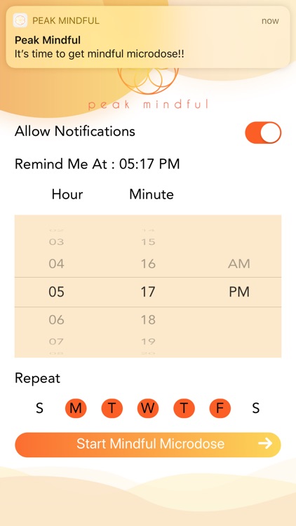 Peak Mindful screenshot-9
