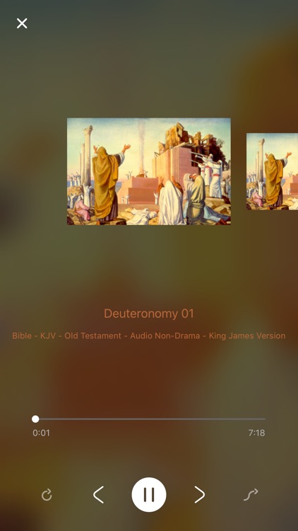 King James Audio Bible Book screenshot-4