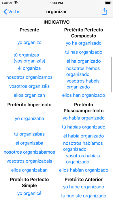 Verbos Español screenshot 3