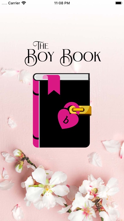 The Boy Book