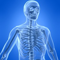 Learn Skeletal System sur PC