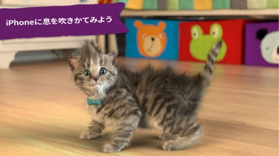 小さな子猫 screenshot1